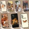 Чехол 'Милые животные - Белка' для Samsung Galaxy A34 A54 A14 A15 A25 A35 A55 A53 A33 A13 A52 A32 A12 A51 A71