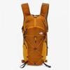 North Face Public Trail Light 12л рюкзак Nm2tq22b