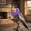 Comfortable Bird Elizabethan Collar Soft Bird Protective Collar Parrot Recovery Cone  Pet Cage