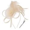 Formal Dress Feathers Mesh Headband Retro Fascinator Headdress  Masquerade Party