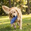 Flexible Dog Chew Toy Bite Resistant Dog Teething Stick Funny Dog Toothbrush Stick  Home Play