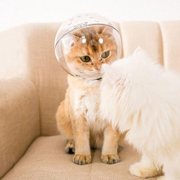 Намордник для космического шлема Gatonine Cat, L, 1 шт.