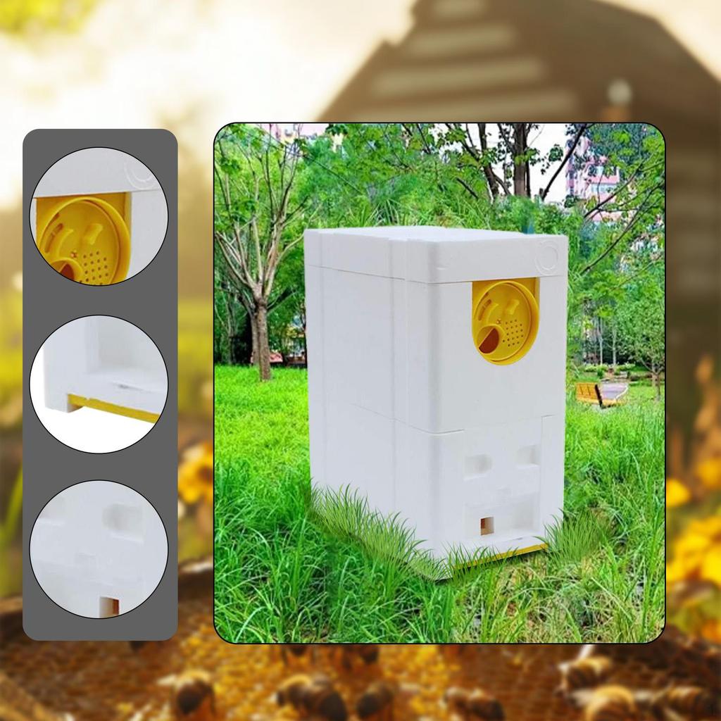 Queen Bee Breeding Box Hive Supplies Easy To Use Foam Rearing for Summer Late