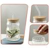 500ml Glass Tumblers Cups With Straw Mason Jar Clear Juice Coffee Milk Cup With Bamboo Lids Drinkware Stripe Beer Mug