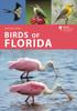 Книга Birds of Florida