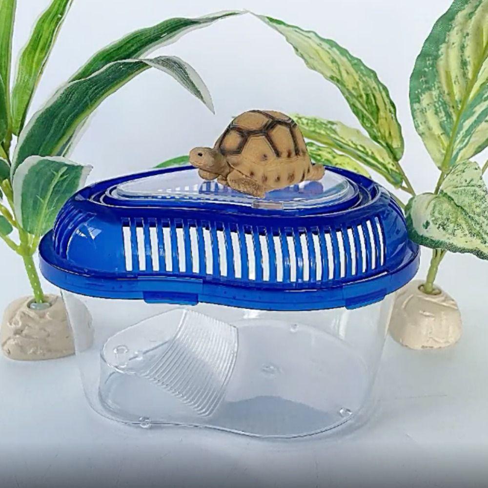 1PC Plastic Goldfish Feeding Box Household Spider Jar Turtle Tank Reptile Container Turtle Habitat