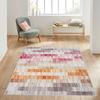 Washable Printed Carpet LNA1431