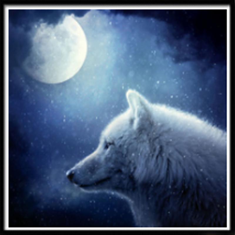 5D алмазная живопись животное кошка и собака Алмазная мозаика набор для вышивки крестом волк посуда Рождественский подарок