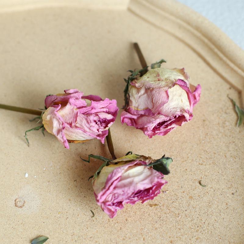 Dried Real Flowers & Materials: Pine Cones, Acorns, Cotton, Adhesives, Sunflowers - DIY Scented Floral Decor & Photography Props