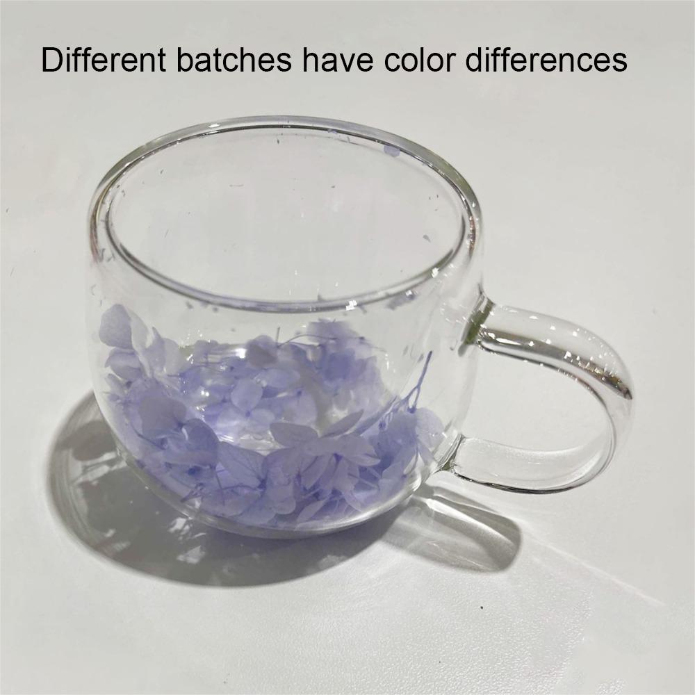 Кофейная чашка для чая, кружка с двойными стенками, прозрачная стеклянная чашка с двойной изоляцией, стеклянная чашка для сухоцветов, ресторан