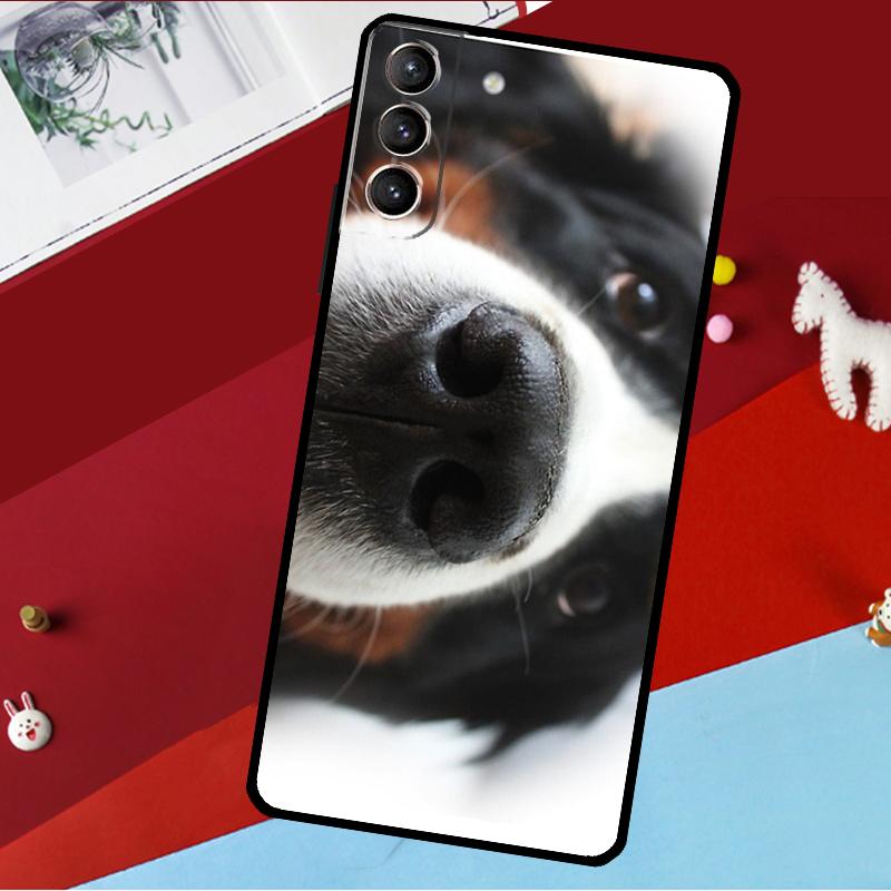 Bernese Mountain Dog Funda For Samsung Galaxy S26 S25 S24 S21 S22 S20 Ultra S9 S10 Plus S23 FE S25 FE Phone Case