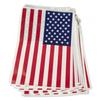 Bristol Novelty USA Flag Bunting