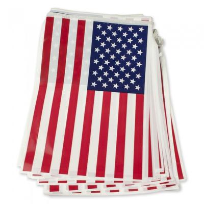 Bristol Novelty Флаг США