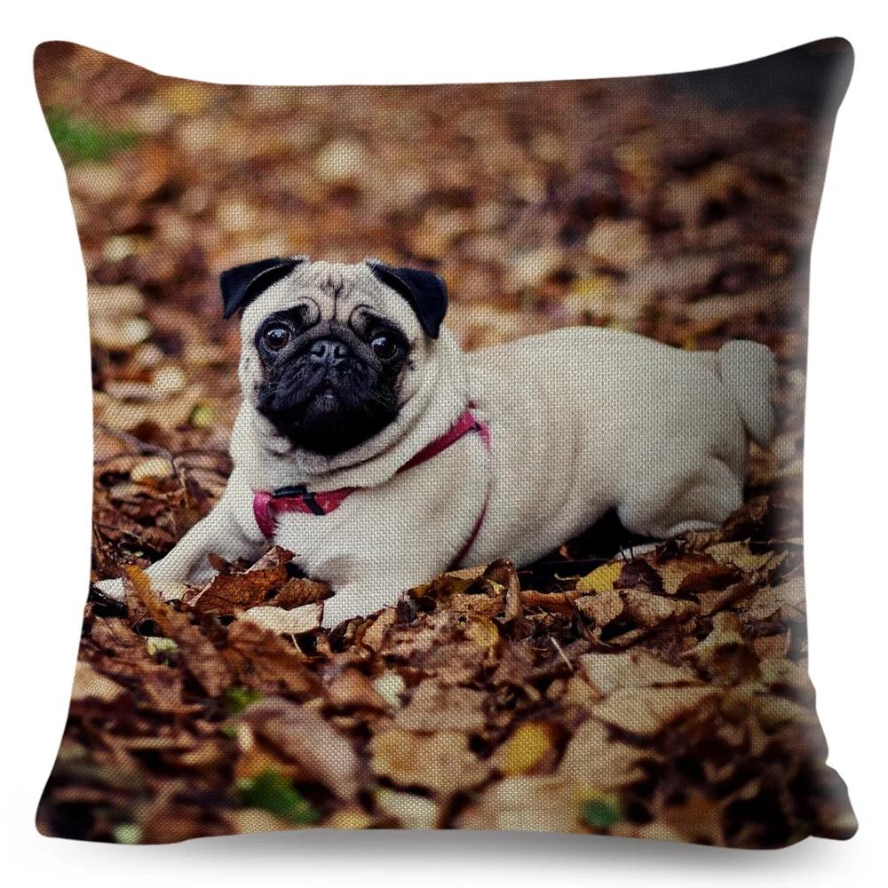 Both Sided Pug Dog Print Cushion Cover Decoration Pet Animal Pillow Case for Sofa Home Car Linen Pillowcase 45x45cm