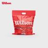 Безвоздушные тренировочные теннисные мячи Wilson