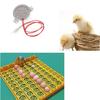 Egg Turner Motor Component for Chicken Egg Incubator Hatcher Brooder AC 110V