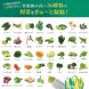 Shimanoya Ryukyu Green Juice Jelly со вкусом ананаса, коробка 10 г x 30 штук, 1 месяц, пищевая клетчатка, недостаток овощей, ячмень, капуста, молочнокислые бактерии