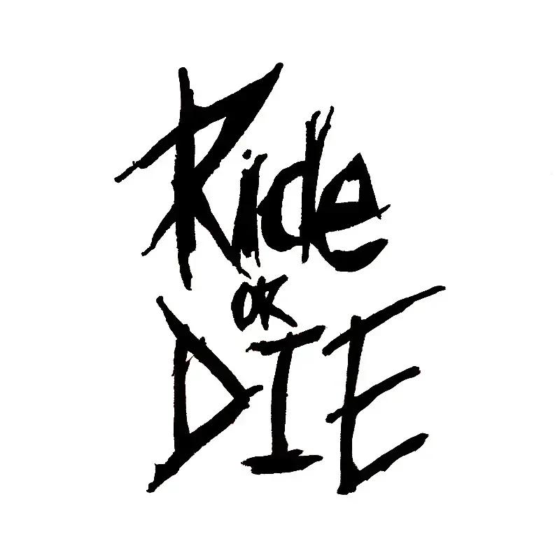 Наклейка на раму горного велосипеда Ride or Die Наклейка на верхнюю трубу Велосипедные наклейки Декоративные наклейки на раму Велосипедные наклейки Велосипедная наклейка