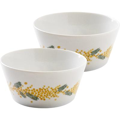 Minoru Pottery Mino Ware PLANTAREE-mimosa- 130 шт. Набор из 2 мисок 13,0 см