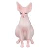 Sphynx Cat Display Model High Simulation Lifelike Animal Figurine Toy for Collection Decoration