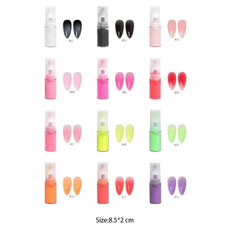 Colourful Nail Spray Powder 10g Nail Glitter Professional Pastel Neon Gradient Powder For Nails