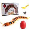 English Version Of Electric Infrared Remote Control Toy Multi-Legged Animal Crawling Centipede Simulation New Strange Toy