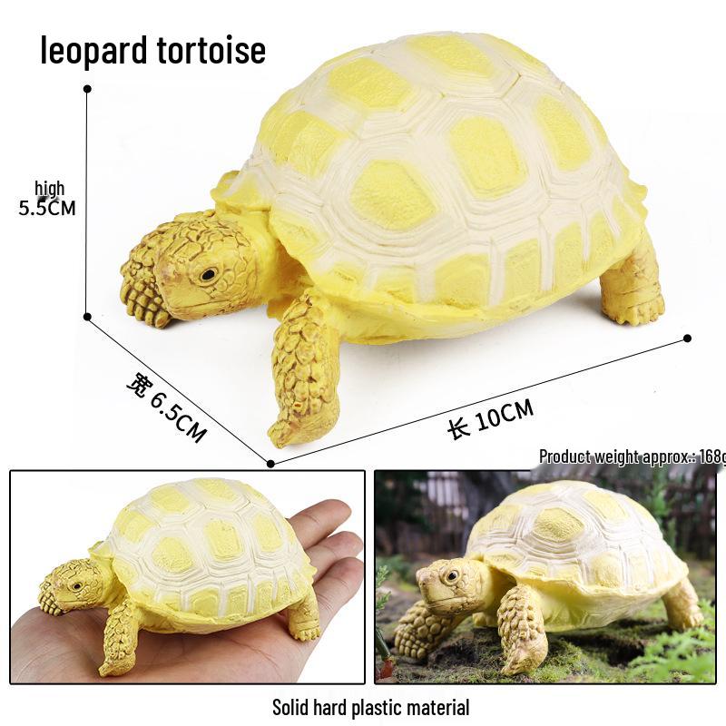Children's Cognitive Marine Animal Models: Sea Turtle and Tortoise Toys
