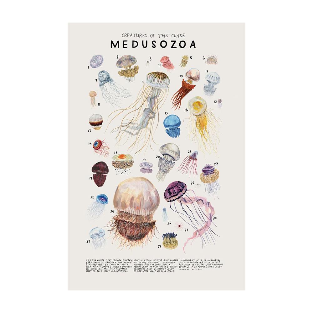 Абстрактные морские организмы медузы киты кальмары рыбы постеры холст картины и принты настенное искусство картина для комнаты домашний декор