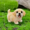 1Pc Resin Craft Miniature Figure Tiny For Bonsai Microlandscape Fairy Garden Decor Cute Small Dog Puppy Animal Decoration