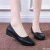 Fashion New Flat Bottomed Women's Shoes with Soft Sole Fashionable Pointed Toe Spring Autumn Style Simple Casual Comfortable Single Shoe
