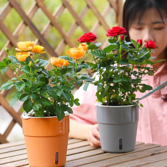 Горшок для растений Привлекательный термостойкий пластиковый автоматический водопоглощающий горшок для растений с хлопковыми веревками для дома