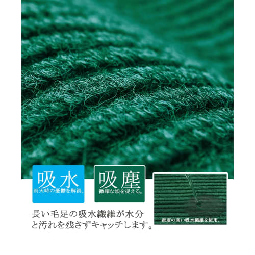 Bcrio Large Entrance Mat, Outdoor/Indoor, Non-Slip, Absorbent, Mud-Resistant, for Commercial and Home Use, Office/Store (Green, 60x90cm)