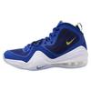 Air Penny 5 Blue Chips 537331-402