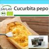 Gift Set - Organic - Squash - Spaghetti - 5 Seeds - With Gift Box, Card, Label and Potting Substrate - Cucurbita Pepo