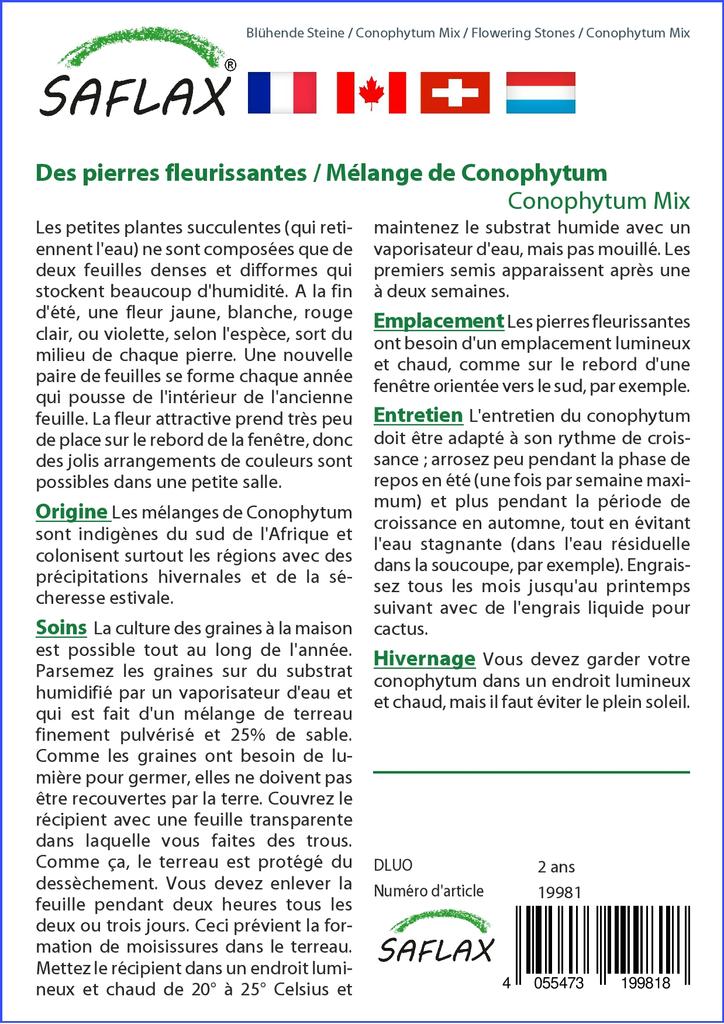 SAFLAX Garden in the Bag - Цветущие камни / Conophytum Mix - 40 семян - С субстратом в подходящем стоячем пакете - Conophytum Mix