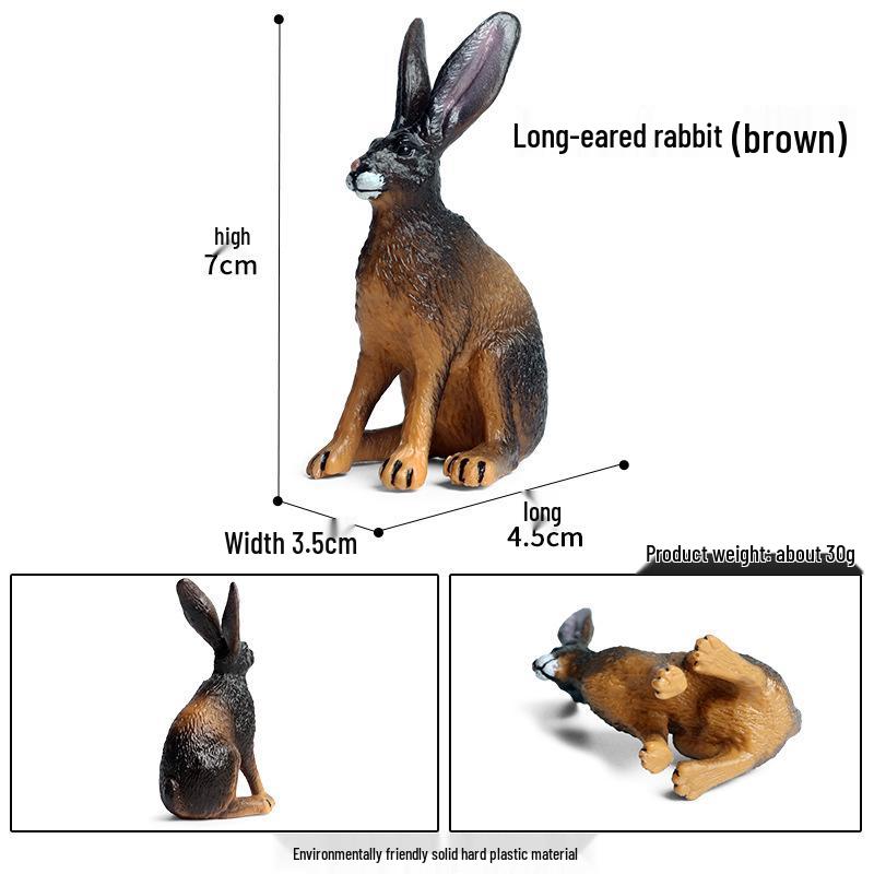 Cute Animal Models: Japanese Raccoon, Flying Squirrel, Monkey, Rabbit, Squirrel, Shiba Inu, Tiger, Lion, Lizard Toy Set