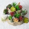 Mini Flocking Artificial Succulent Bonsai for DIY Wall Decor