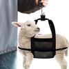 Adjustable Calf & Small Livestock Weighing Sling with Mesh Belt