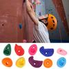 Climbing Wall Holds, Wear-Resistant Multicolored Rock Wall Grips Kit for Kids, Indoor and Outdoor Use (Small, 10 Pieces)