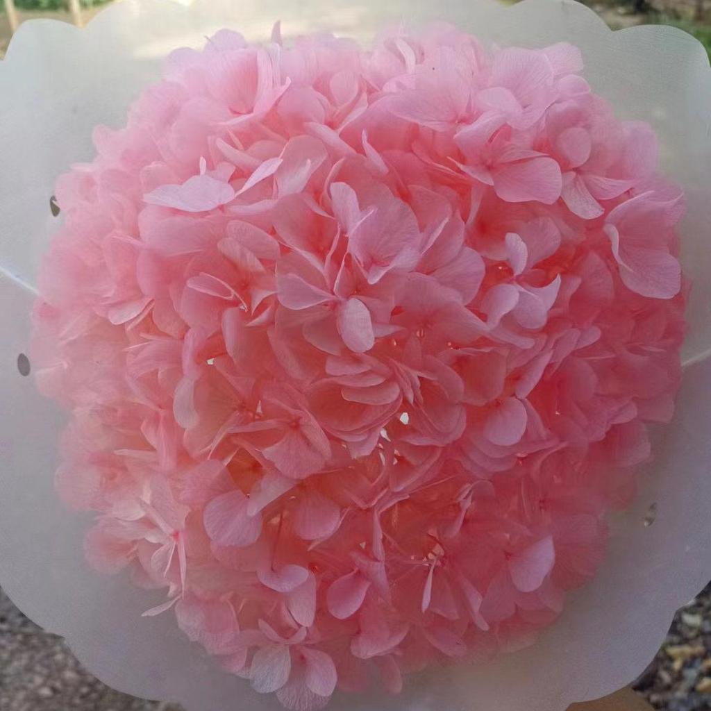 Multi-Color Preserved Bigleaf Hydrangea Single Stem Flower Bouquet for Home Decoration