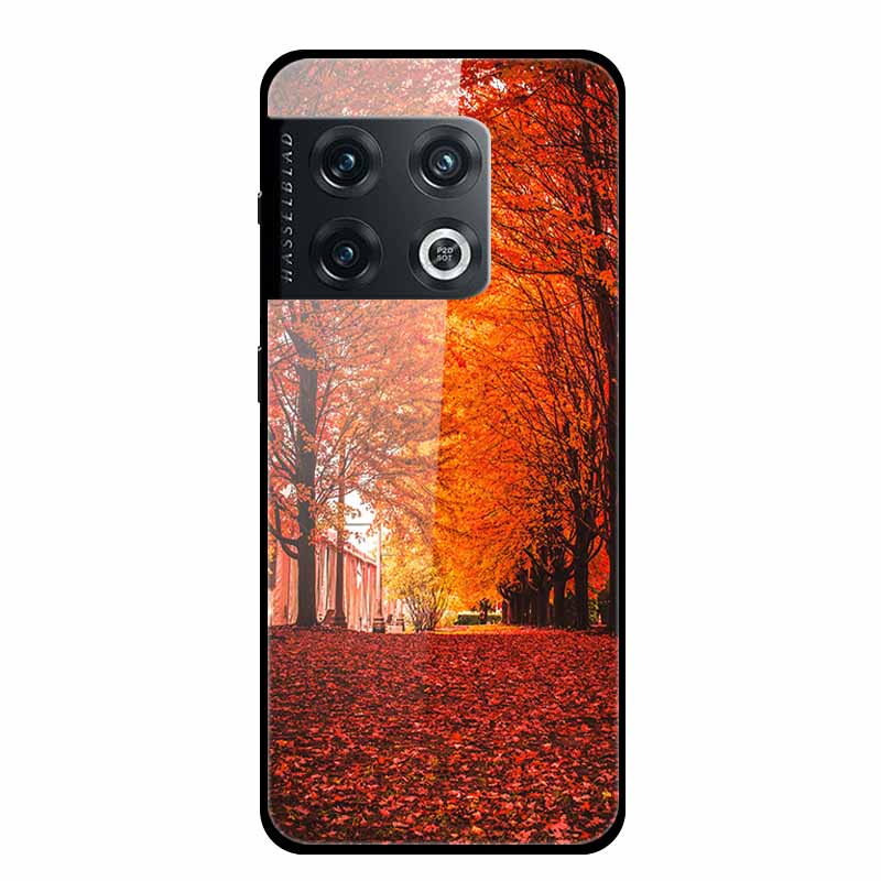 Чехол для One plus 10 Pro Ударопрочный Закаленное Стекло Жесткая Задняя Крышка Для OnePlus 10 Pro 10Pro Oneplus10 1+10 Pro Бампер Чехол Coque Case