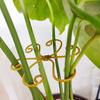 1/3/6Pcs Plant Stem Support Holder Heavy Duty Indoor Outdoor Monstera Plant Support Rack Growing Climbing Plants Fixing Stabilization Clamp