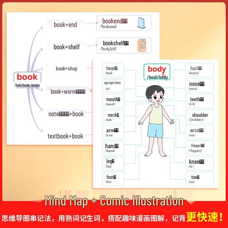 Primary School English Vocabulary Quick Memory