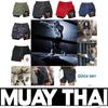 Demon Devil Satan Muay Thai Kick Boxing MMA Shorts Men Women Unisex Casual Sportswear Double Layer Quick Dry Training Sport Gym Fitness Workout