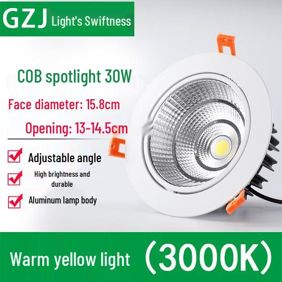 Recessed 20W Spotlight Downlight for Clothing Stores, 15-30W Commercial Ceiling Light