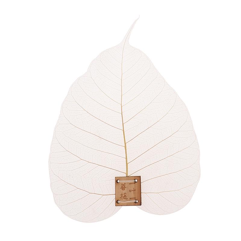 Форма листьев Бодхи Утечка Кунг-фу Чайные заварочные устройства Фильтр для листового чая Аксессуары