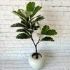 Artificial Hevea Brasiliensis Leaf With Lush Foliage For Photography Decor Prop
