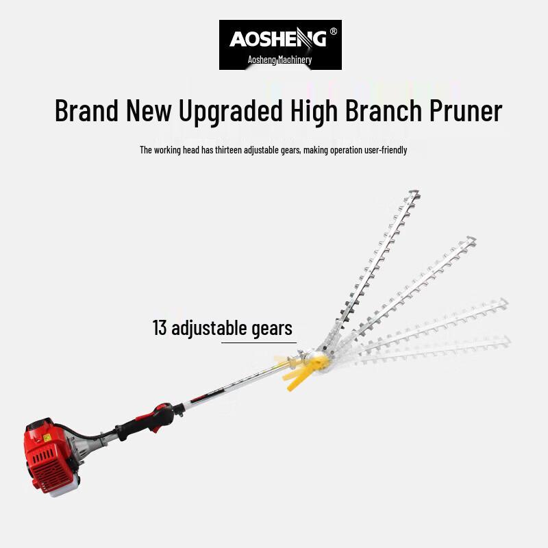 Aosheng Jixie KD260 Gasoline Hedge Trimmer CN plug (adapter included)