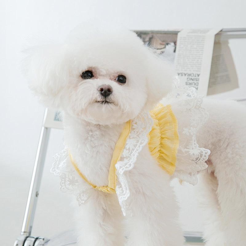 Летняя одежда для собак, платье для щенков, котят, собак, кружевная одежда для домашних животных, костюм для чихуахуа, бишона, йорка, одежда для домашних животных 2025 года, охлаждающий жилет для собак