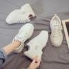 Daddy Shoes Girl 2025 Autumn and Winter New Ins Trendy Student Versatile Sports Velvet Casual Little White Shoes Platform Women's Shoes